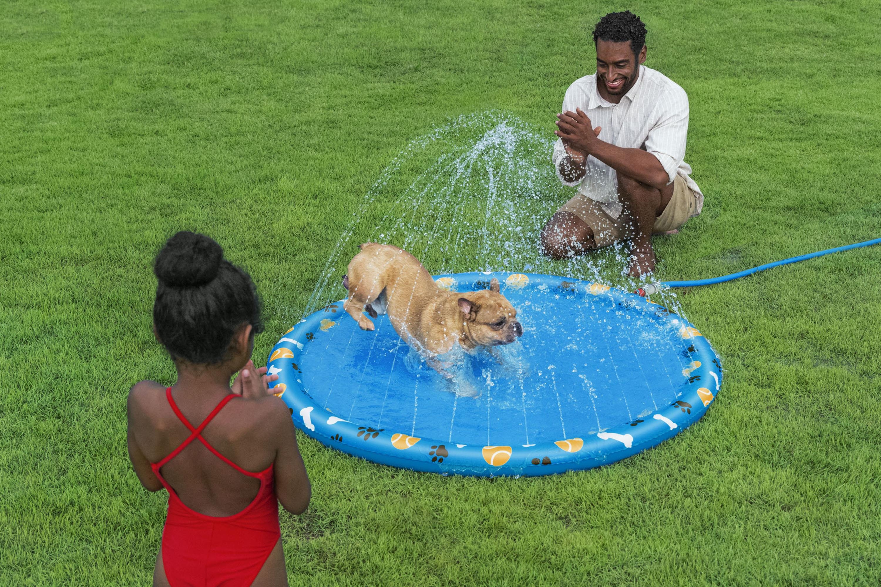 TAPIS À EAU POUR ANIMAUX DE COMPAGNIE
