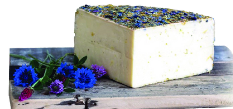 TOMME PASTEURISÉE AUX FLEURS