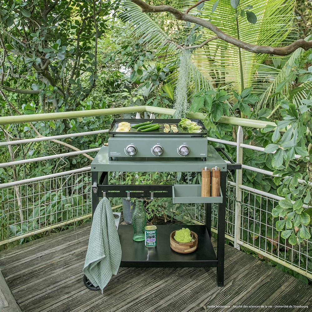PLANCHA GAZ 3 BRULEURS