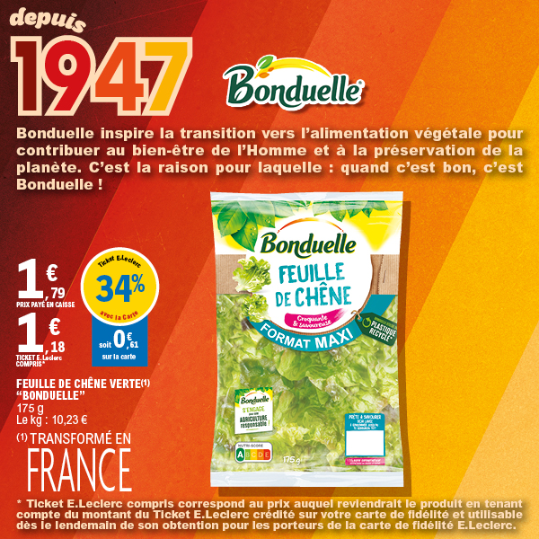 FEUILLE DE CHÊNE VERTE