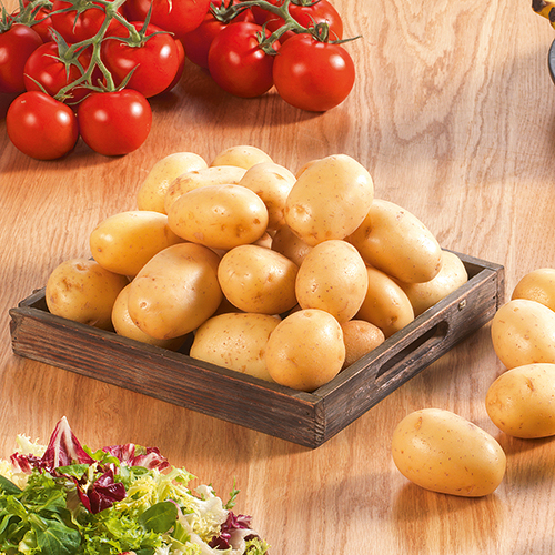 POMME DE TERRE DE CONSOMMATION