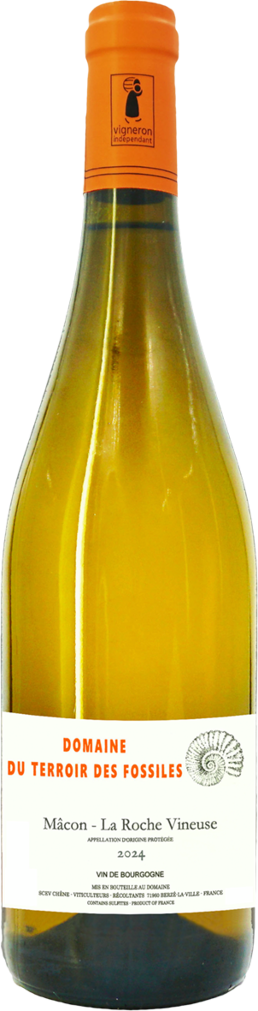 AOP MÂCON-LA ROCHE VINEUSE BLANC SEC - DOMAINE DU TERROIR DES FOSSILES 2024