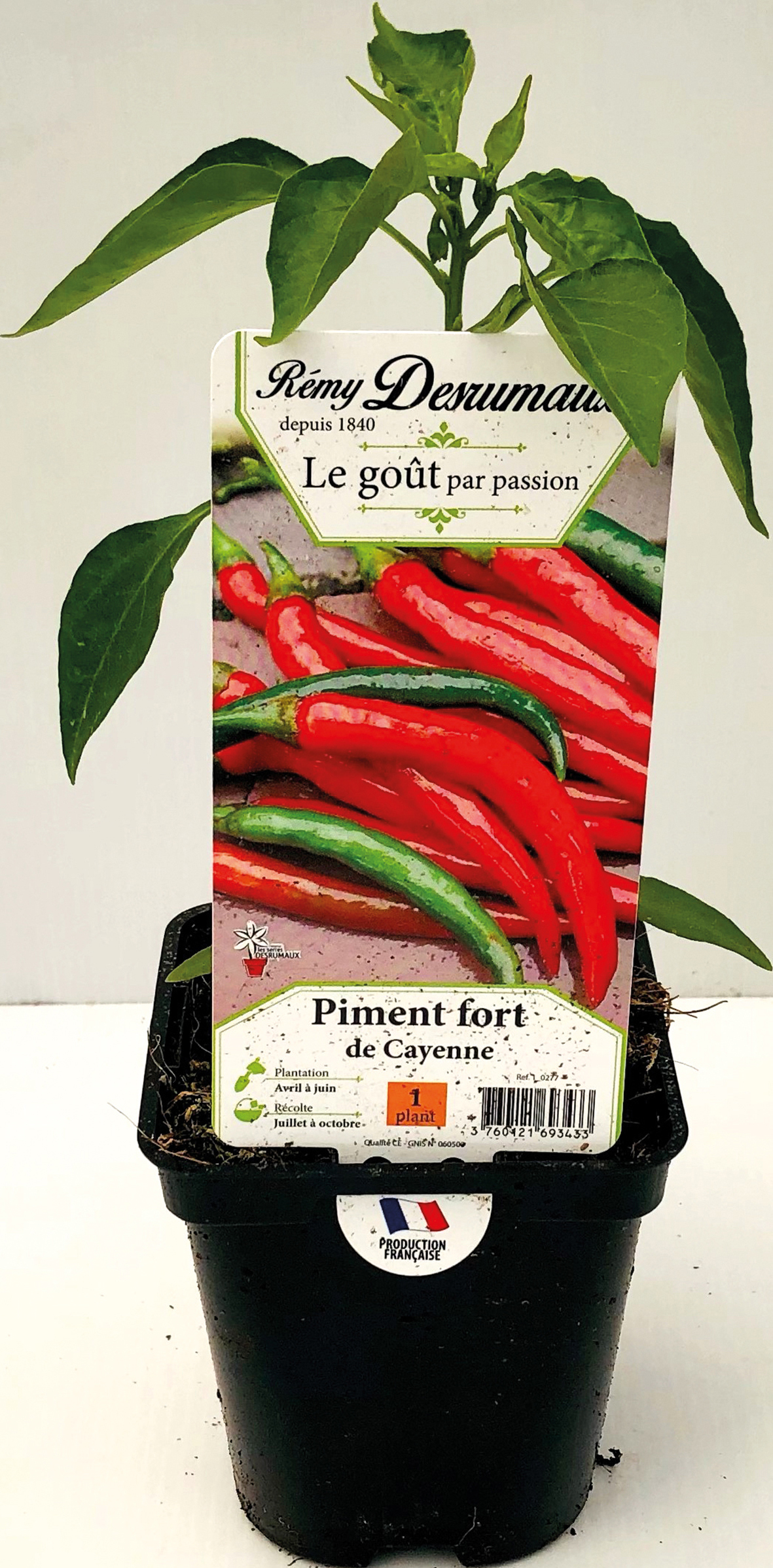 LÉGUMES