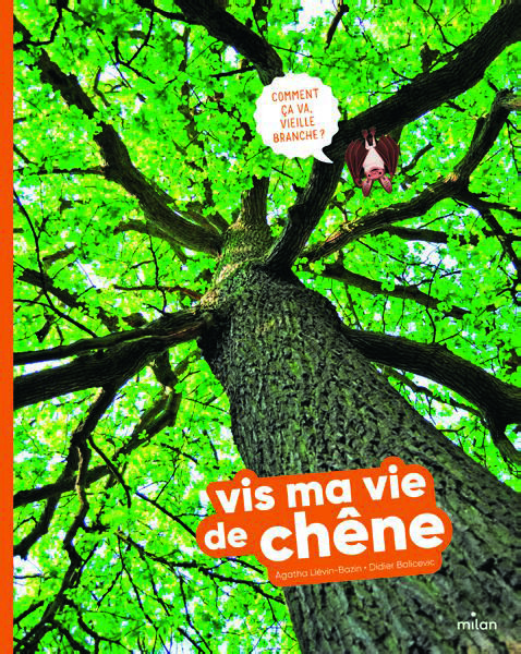 COLLECTION VIS MA VIE