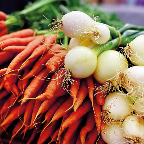 CAROTTES/OIGNONS FANE