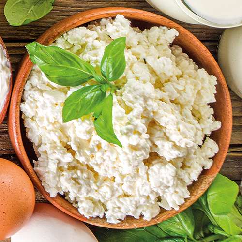 BROUSSE DE CHÈVRE BIO