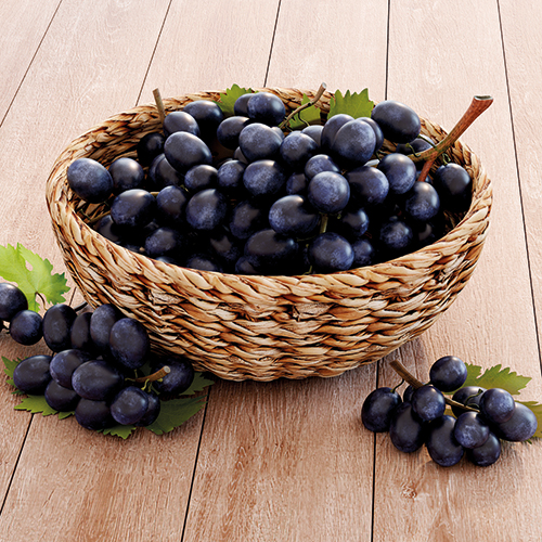 RAISIN NOIR MUSCAT DU VENTOUX AOP