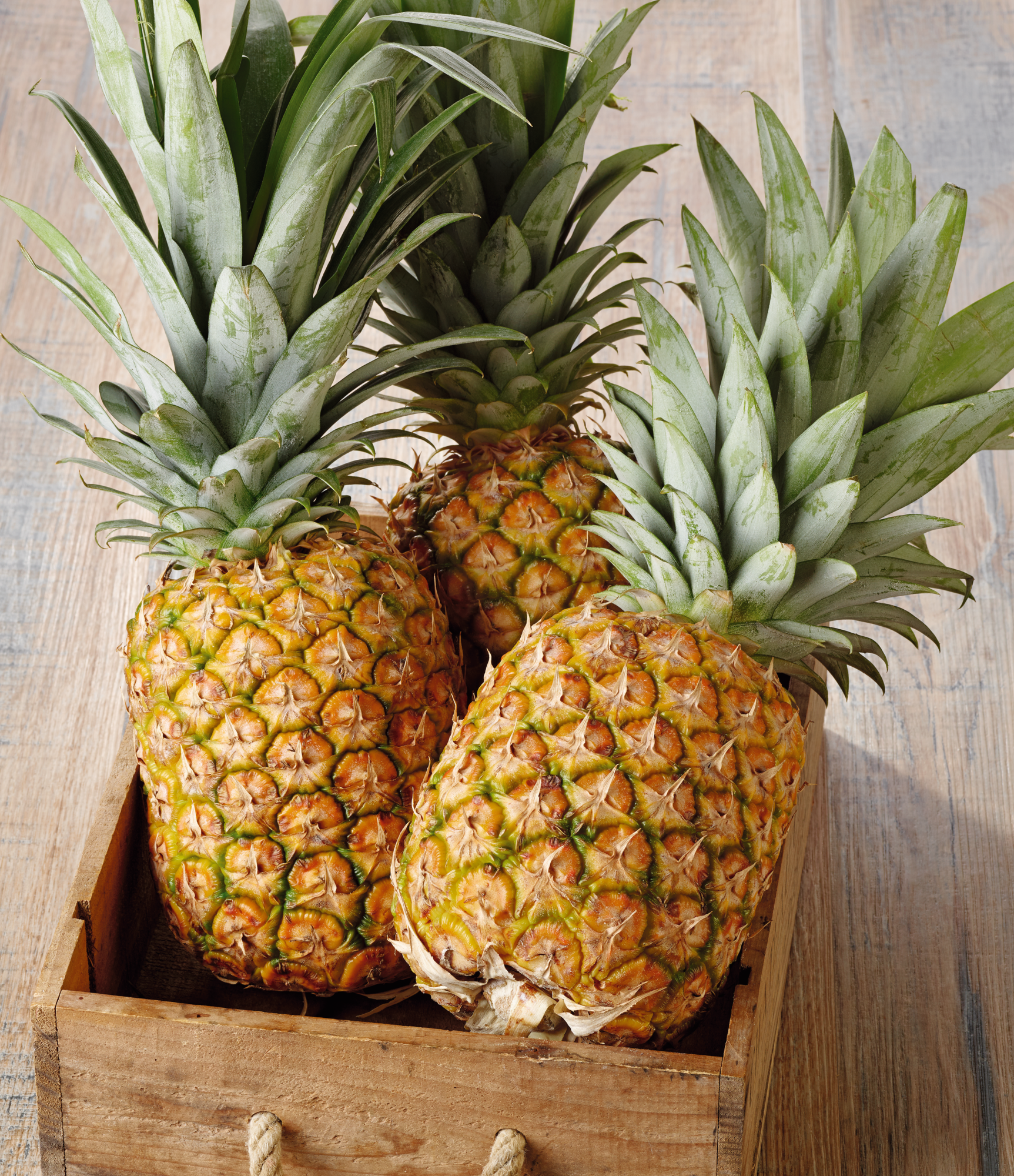 Ananas