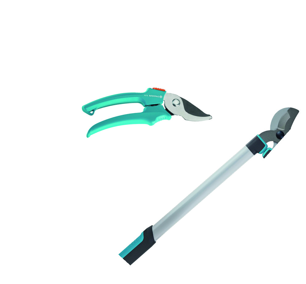 LOT COUPE-BRANCHES EASYCUT 680B + SÉCATEUR CLASSIC