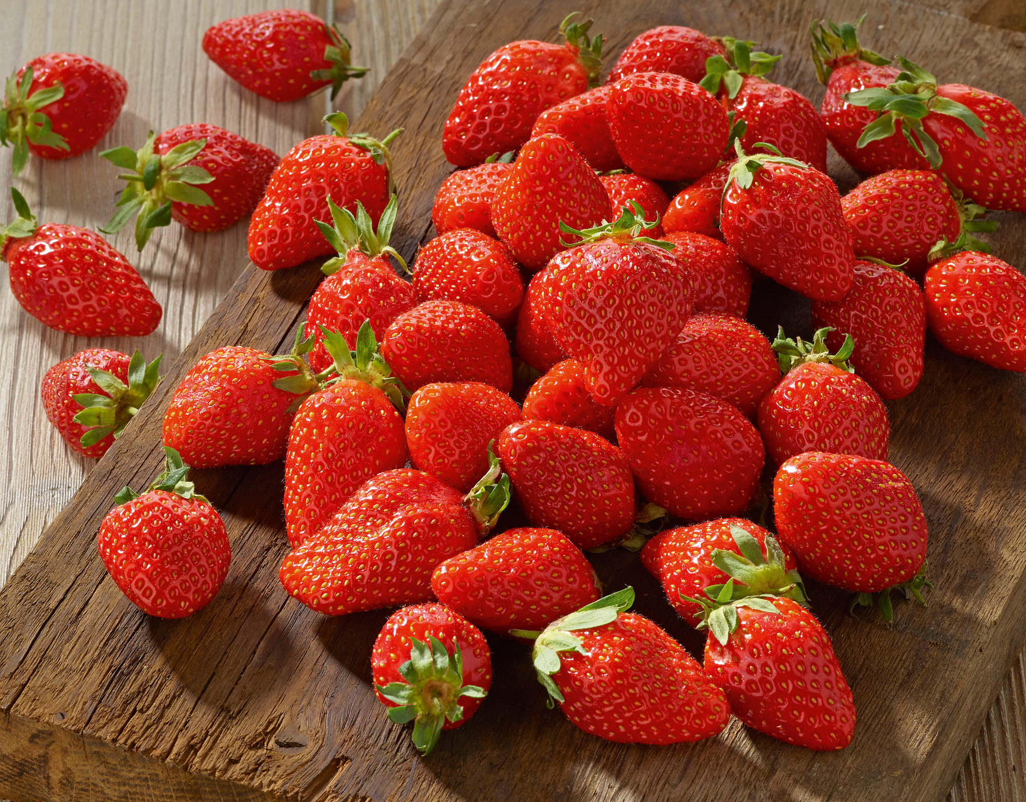 FRAISES ALLONGÉES FILIÈRE