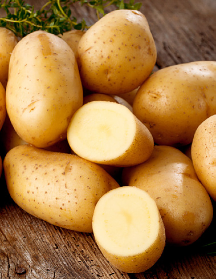 POMME DE TERRE