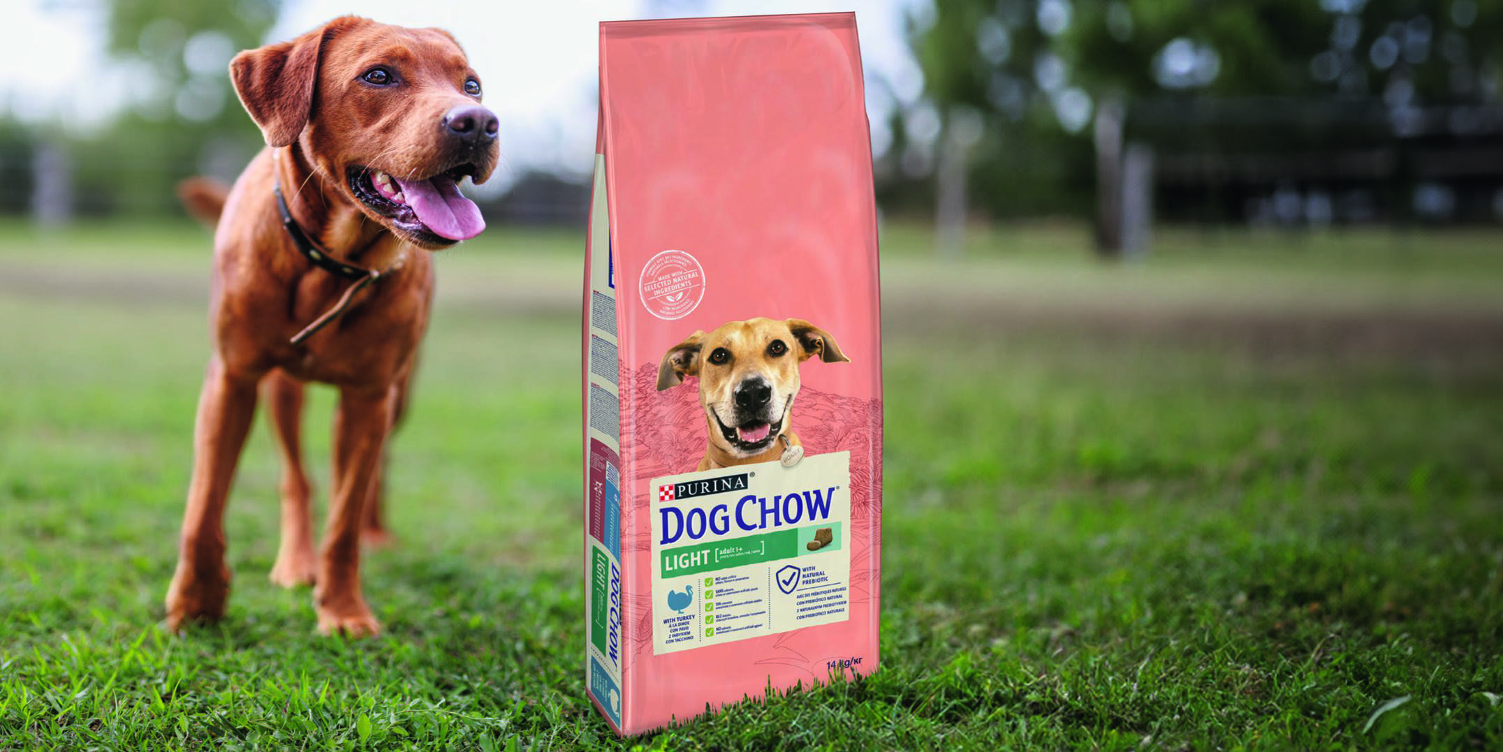 CROQUETTES CHIEN ADULTE