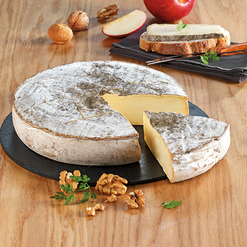 SAINT-NECTAIRE FERMIER AOP TRADITION 27% MAT.GR.