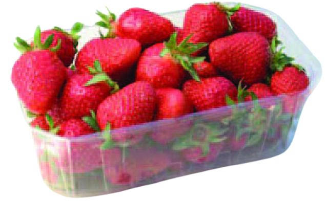FRAISES RONDES