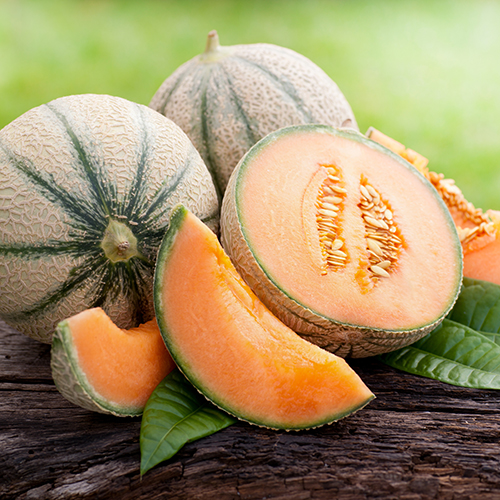 MELON CHARENTAIS