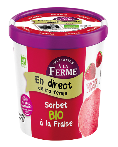 SORBET BIO À LA FRAISE