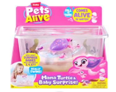 MAMA TORTUE ET BÉBÉS SURPRISE