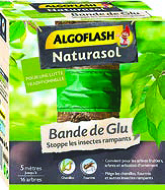 BANDE DE GLUE