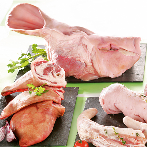 TÊTE DE PORC