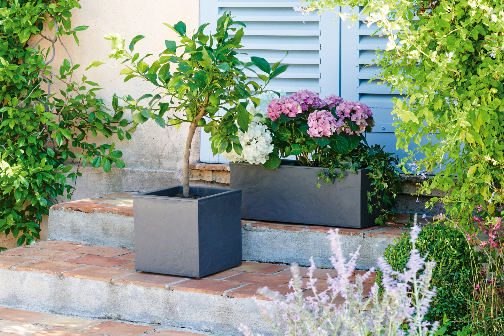 POT CARRÉ "VOLCANIA UP"