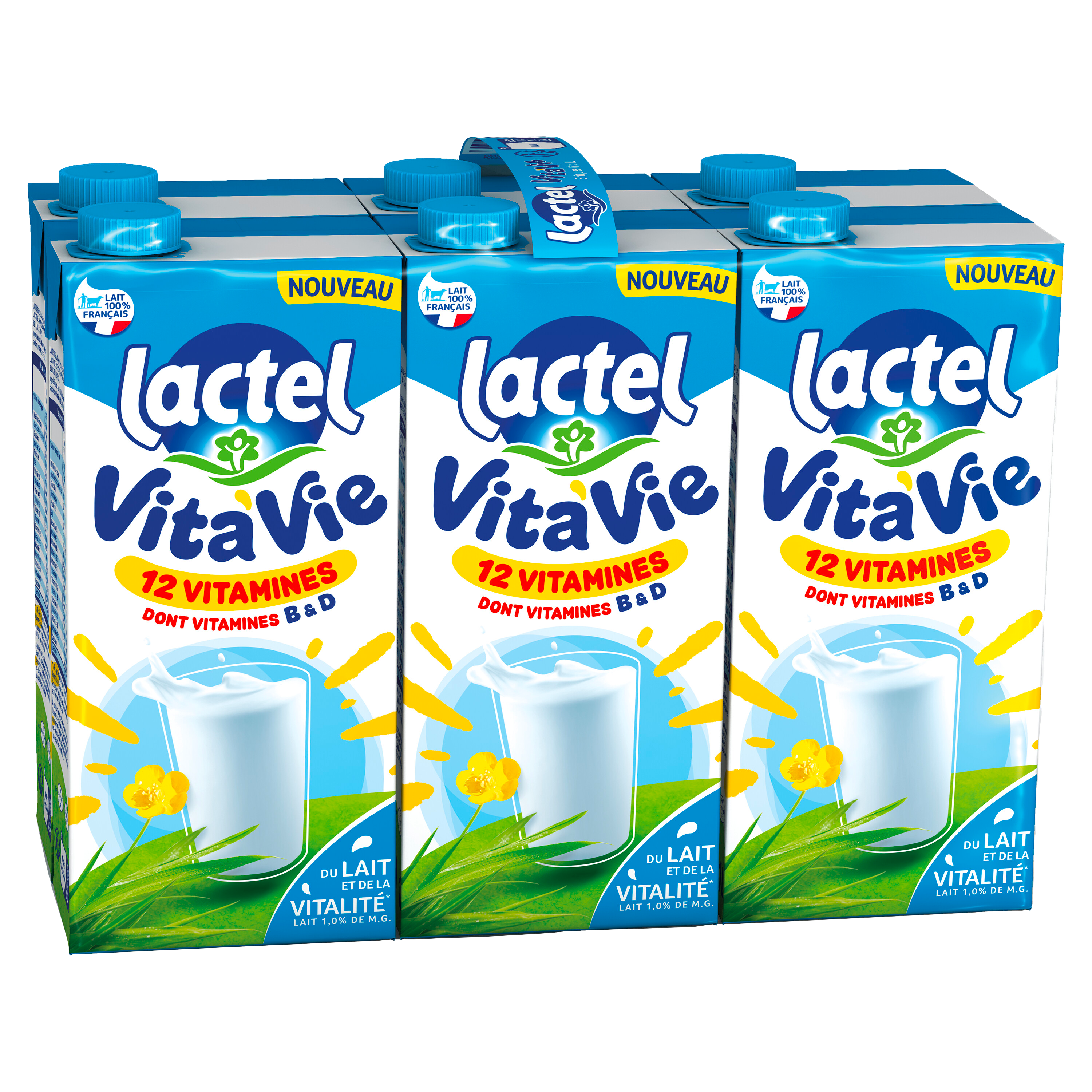 LAIT VITA'VIE 12 VITAMINES