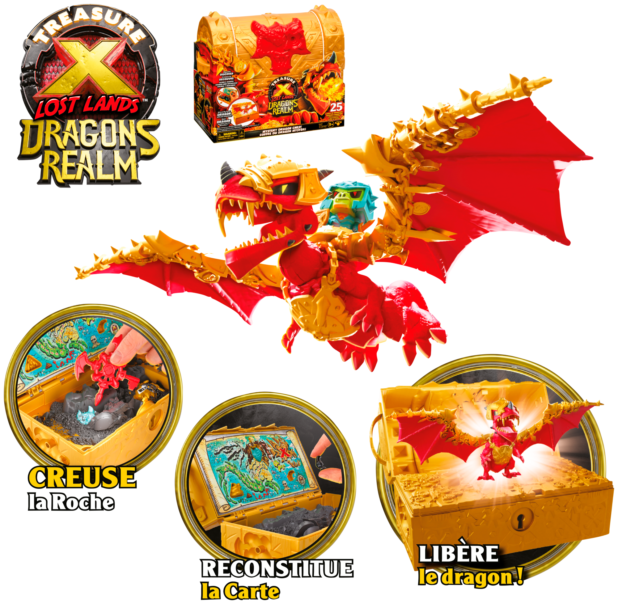 COFFRE AUX TRÉSORS DRAGONS REALM  