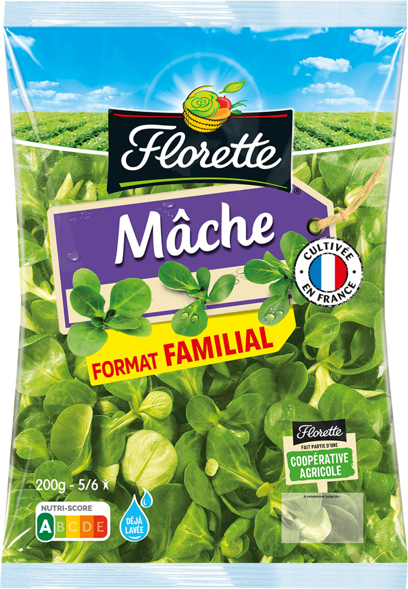 Mâche format familial
