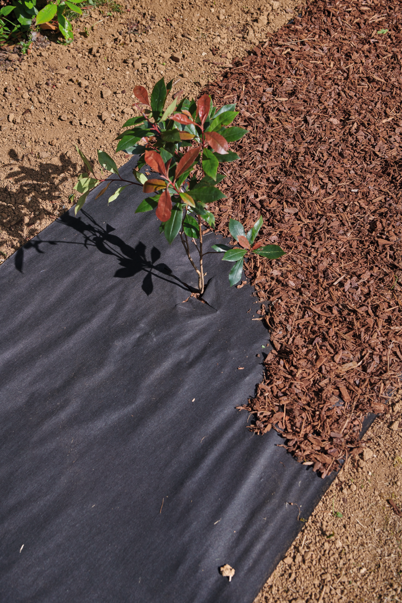 TOILE DE PAILLAGE "BEAUX JOURS"