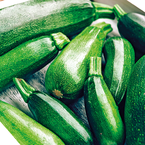 COURGETTE