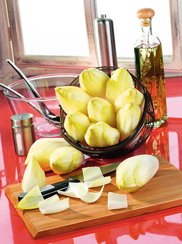 ENDIVE