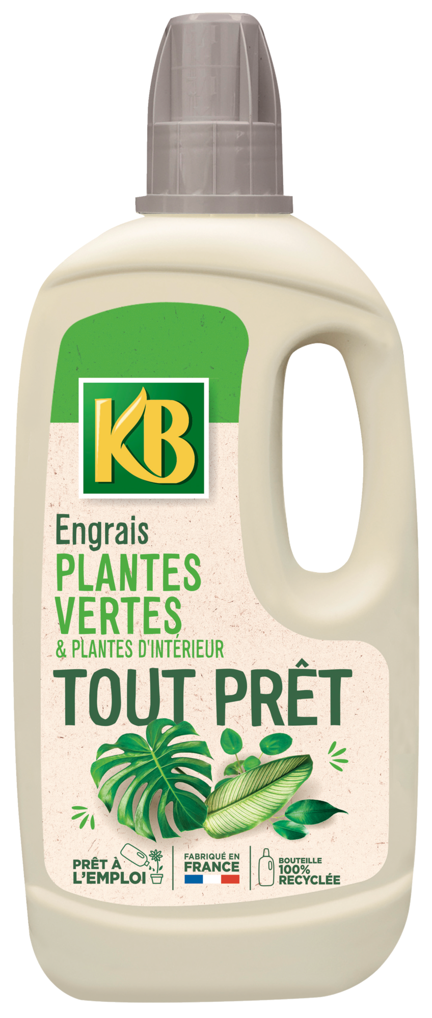 ENGRAIS PLANTES VERTES