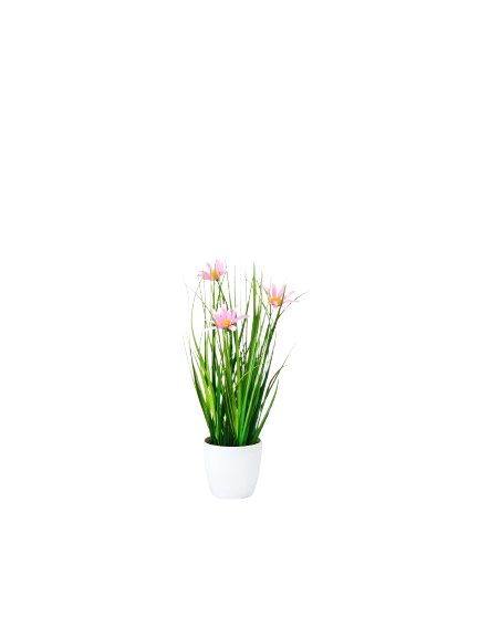 POT DE FLEURS ET HAUTES HERBES*