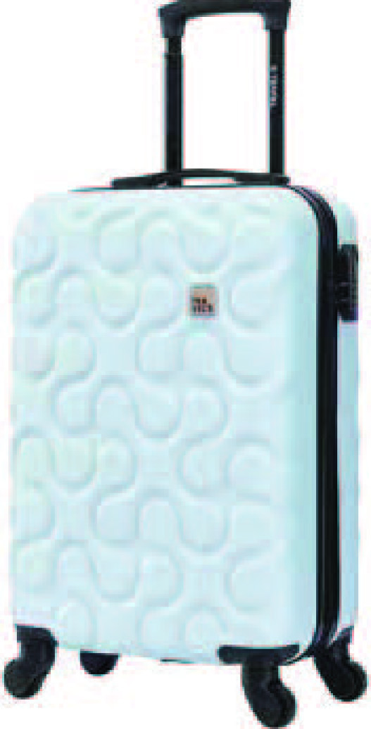 VALISE À ROULETTES