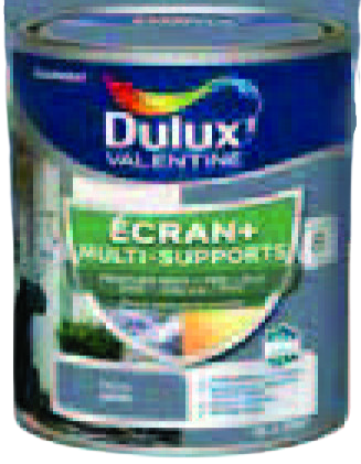 PEINTURE MULTISUPPORTS( 7)