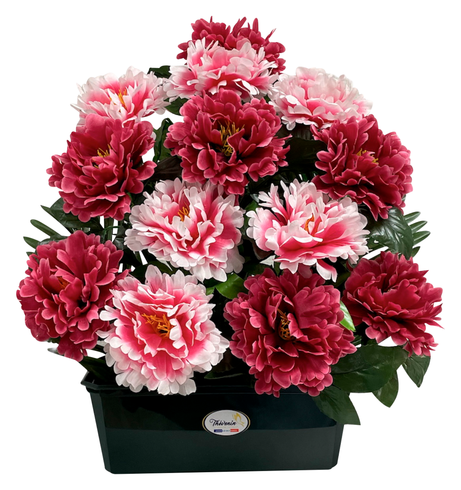 JARDINIÈRE DE PIVOINES