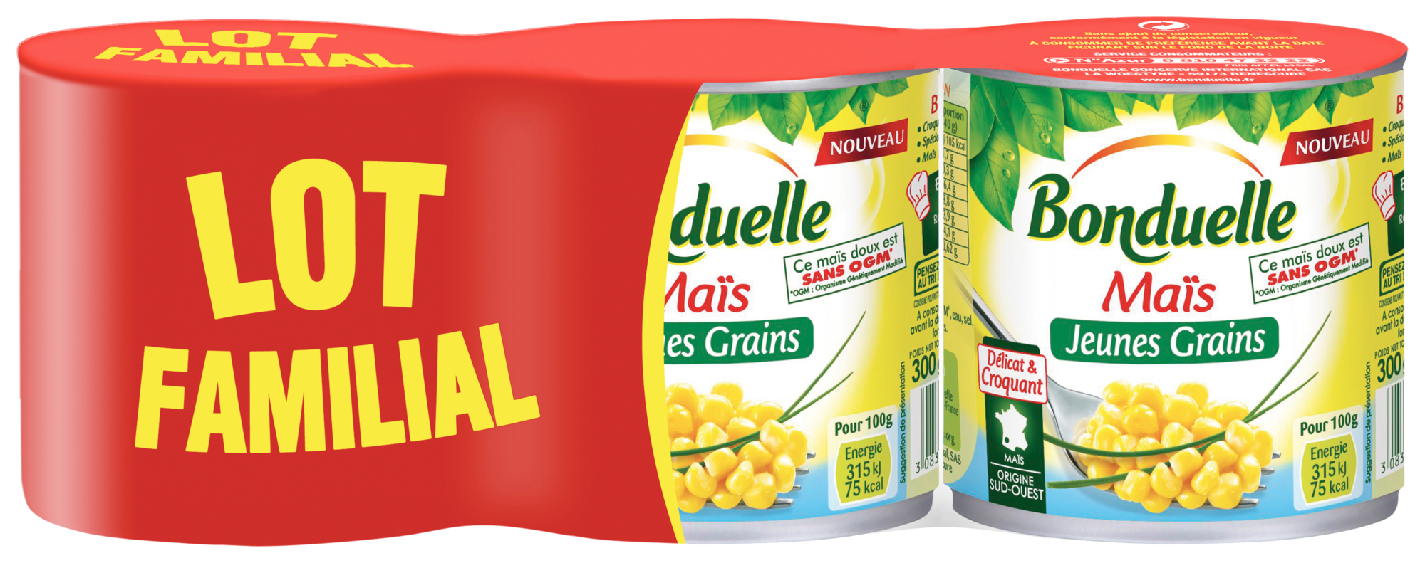 LÉGUMES SECS