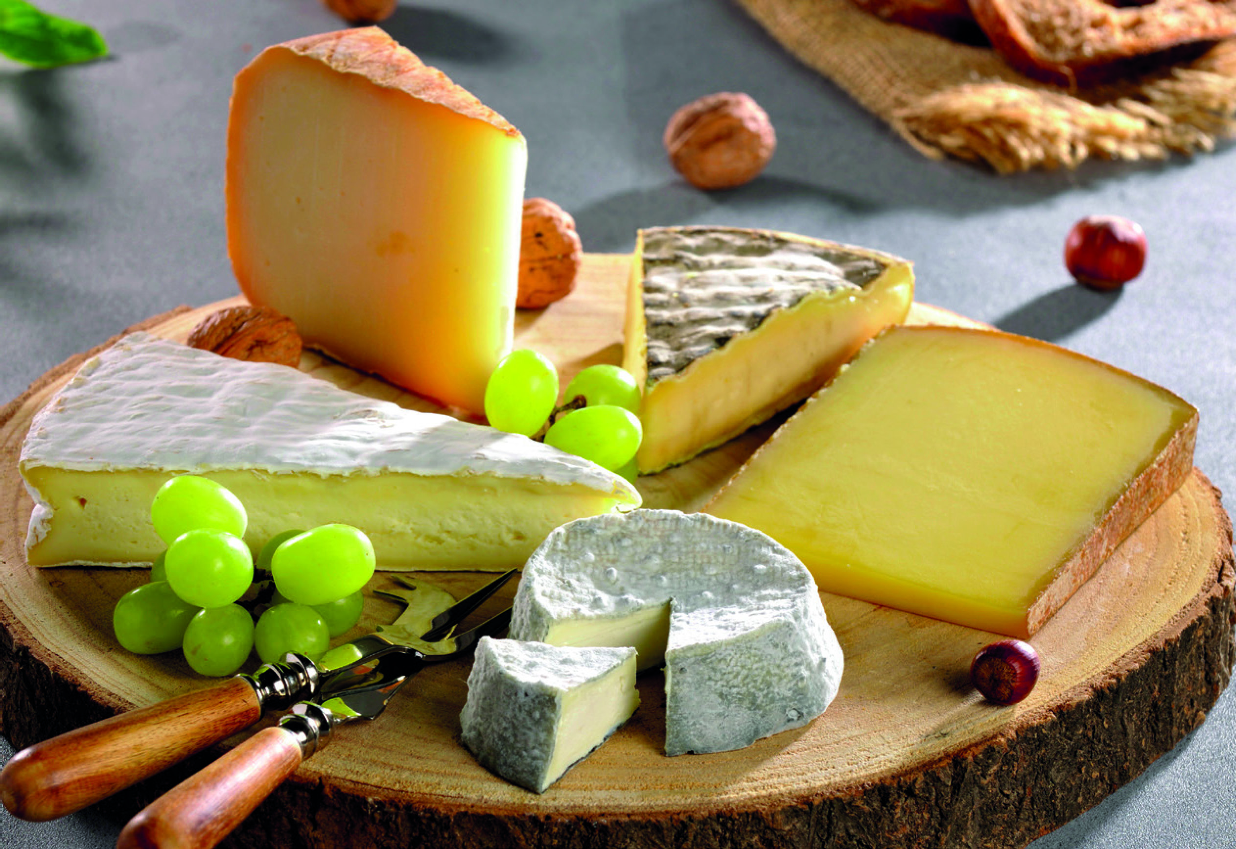 “SAVEURS DES RÉGIONS”