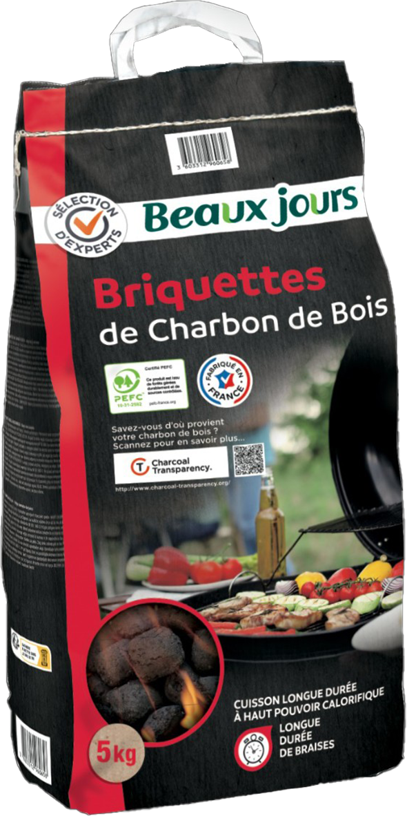 BRIQUETTES DE CHARBON BOIS