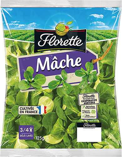 MÂCHE