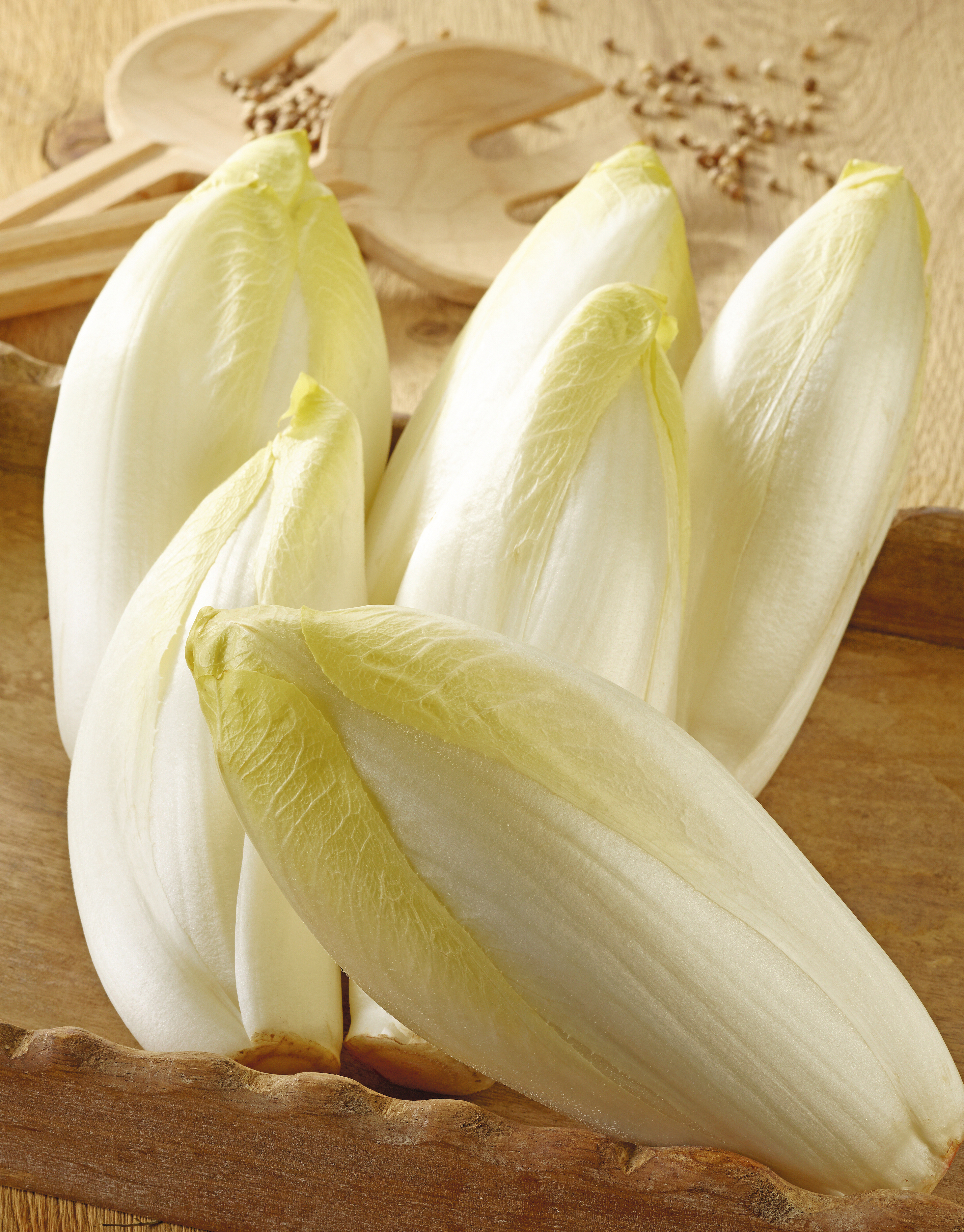 ENDIVE