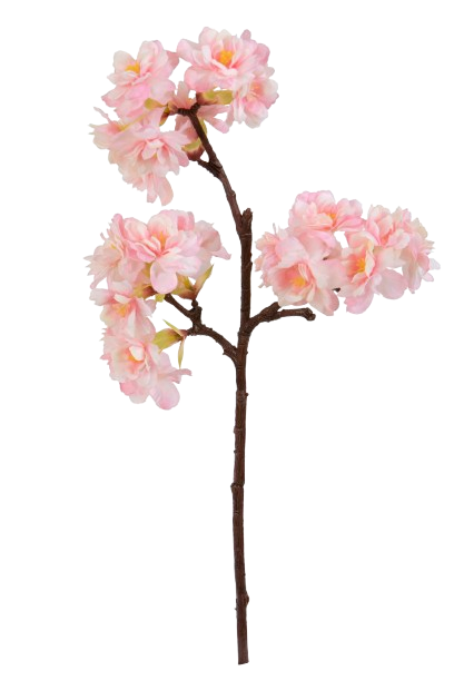 TIGE DE FLEURS*