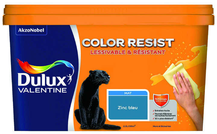 PEINTURE INTÉRIEUR  (1)