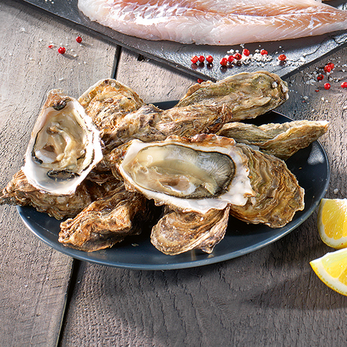 HUÎTRES CREUSES DE FRÉHEL N°3