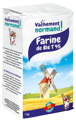FARINE DE BLÉ T45