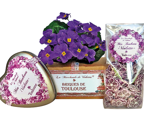 BRIQUES DE TOULOUSE