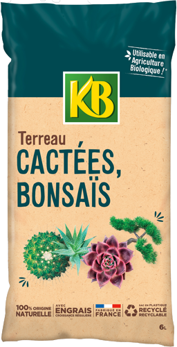 TERREAU CACTÉES, BONSAÏS ET PLANTES GRASSES