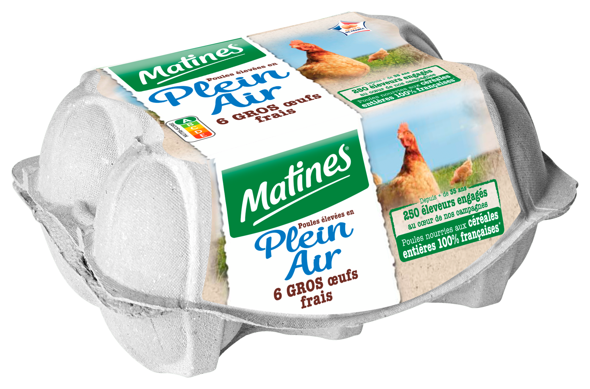 6 gros œufs frais plein air