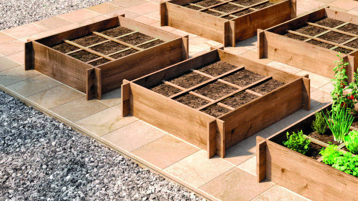 CARRÉ POTAGER(5)