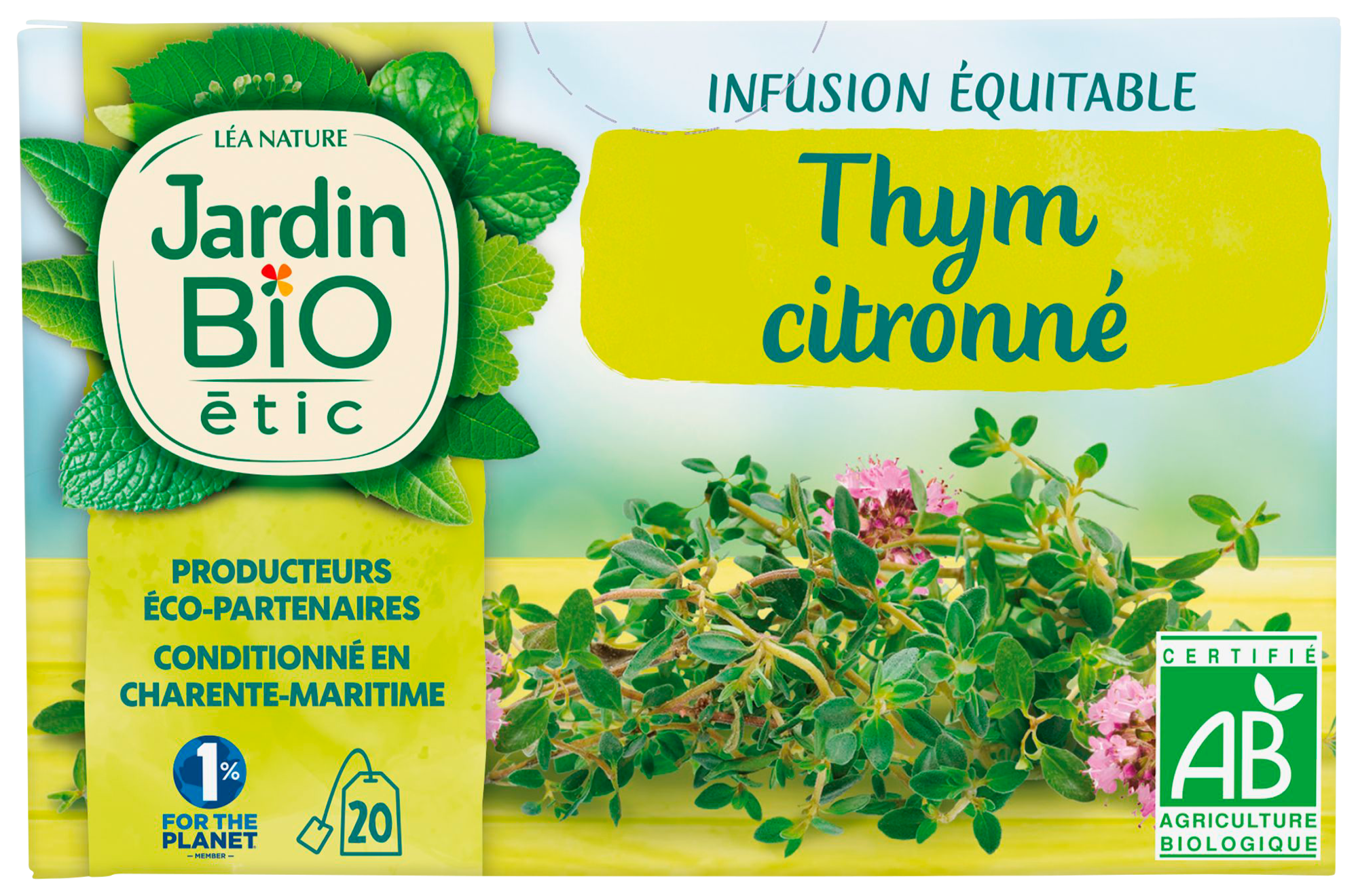 INFUSION OU THÉ VERT BIO