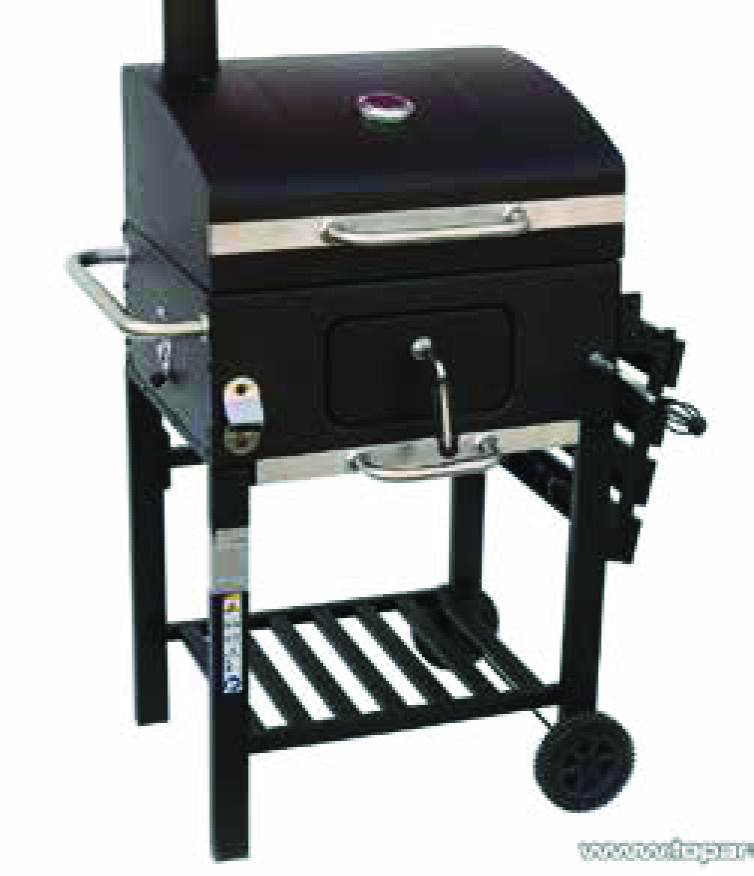 BARBECUE À CHARBON DE BOIS SUR CHARIOT